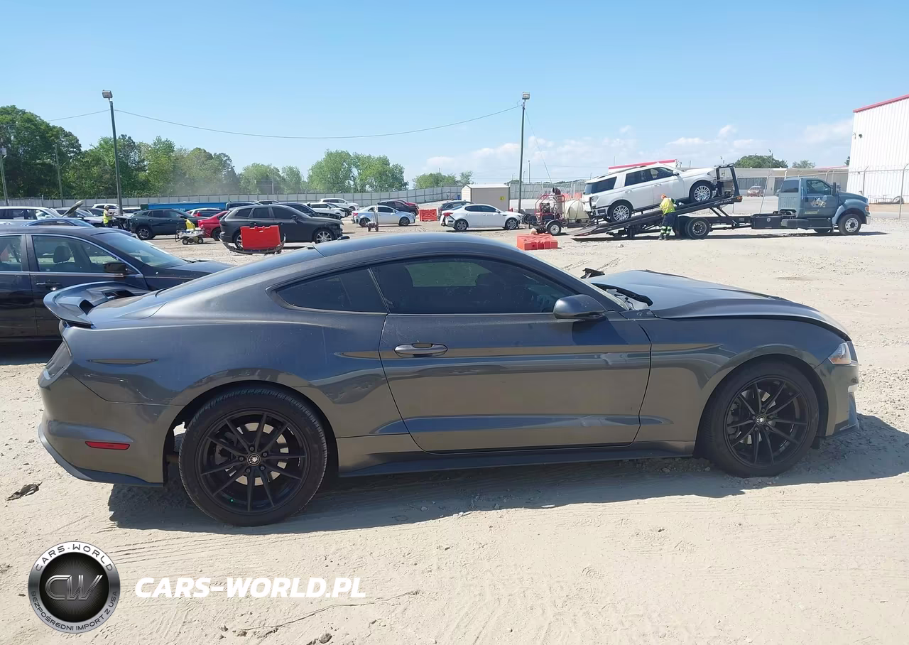 2019 Ford Mustang Ecoboost VIN:1FA6P8TH3K5120375 - 13