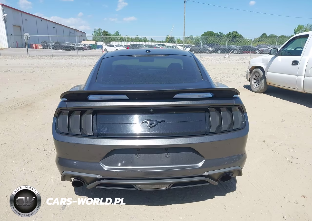 2019 Ford Mustang Ecoboost VIN:1FA6P8TH3K5120375 - 16