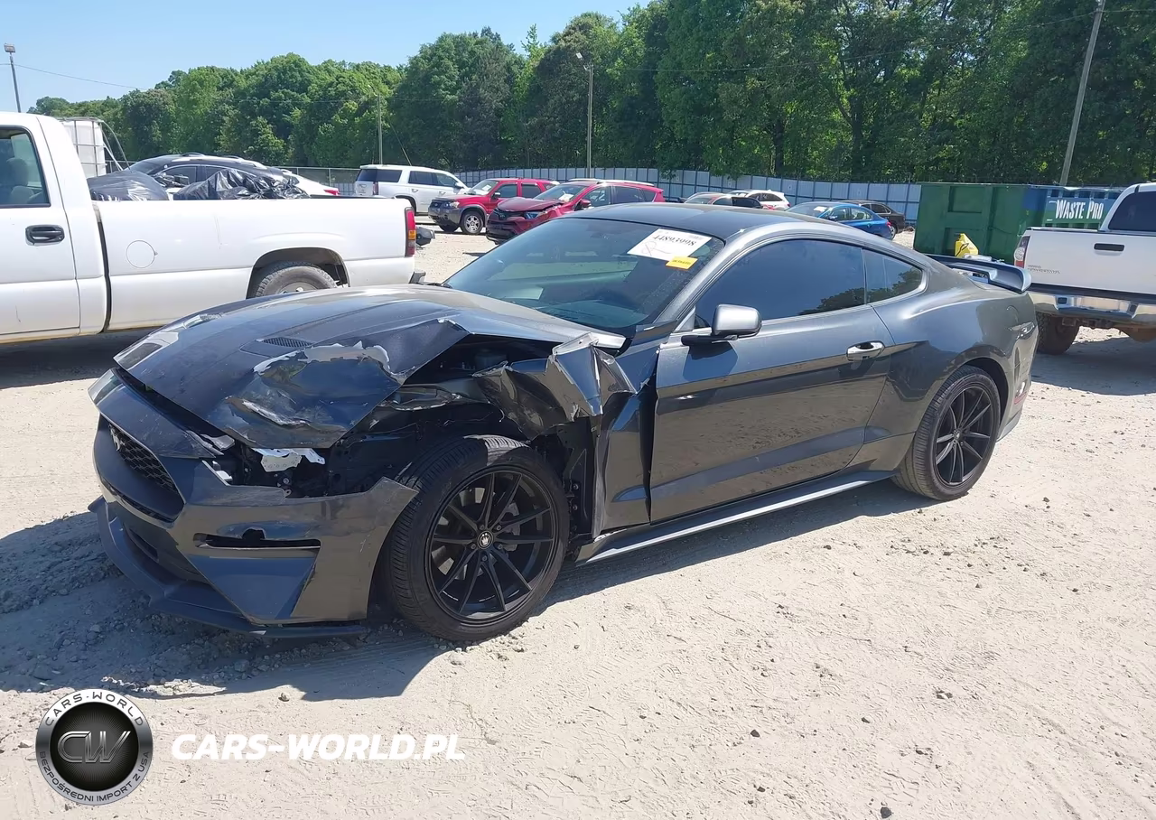 2019 Ford Mustang Ecoboost VIN:1FA6P8TH3K5120375 - 2