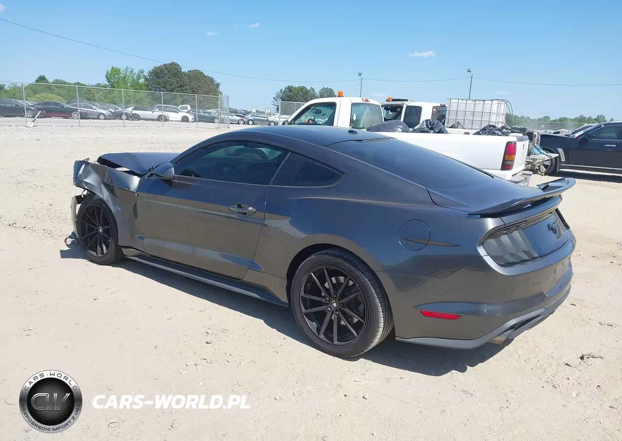 2019 Ford Mustang Ecoboost VIN:1FA6P8TH3K5120375 - 3