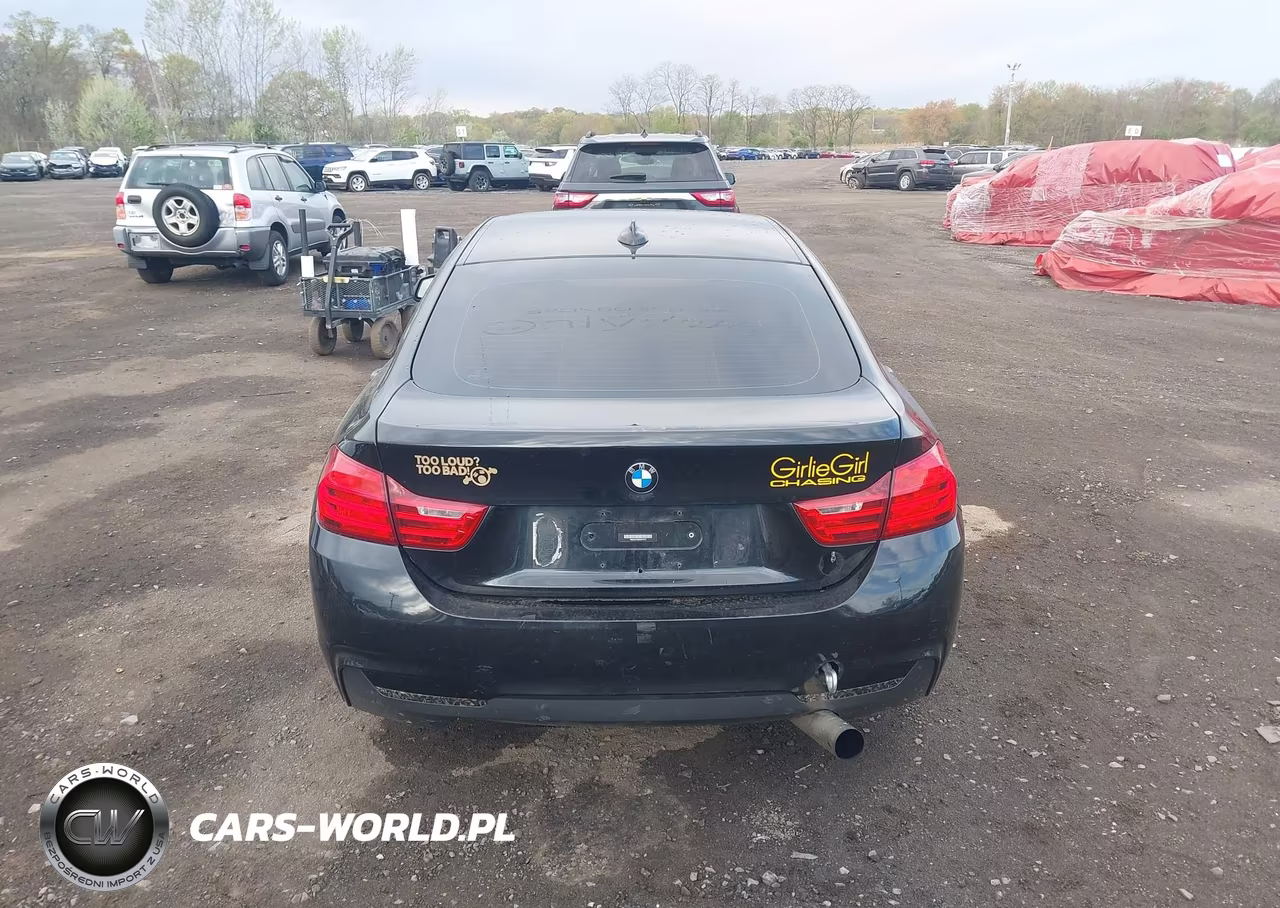 2015 BMW 428 Gran Coupe VIN:WBA4A5C59FD410717 - 16
