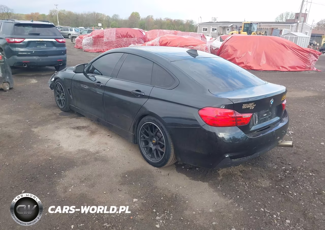 2015 BMW 428 Gran Coupe VIN:WBA4A5C59FD410717 - 3