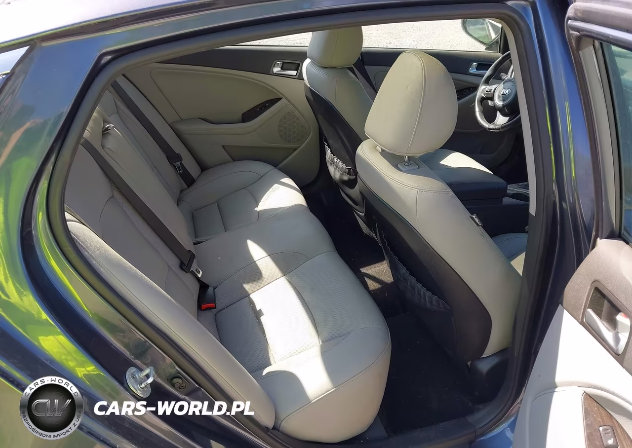 2015 Kia Optima Ex VIN:5XXGN4A75FG439236 - 8