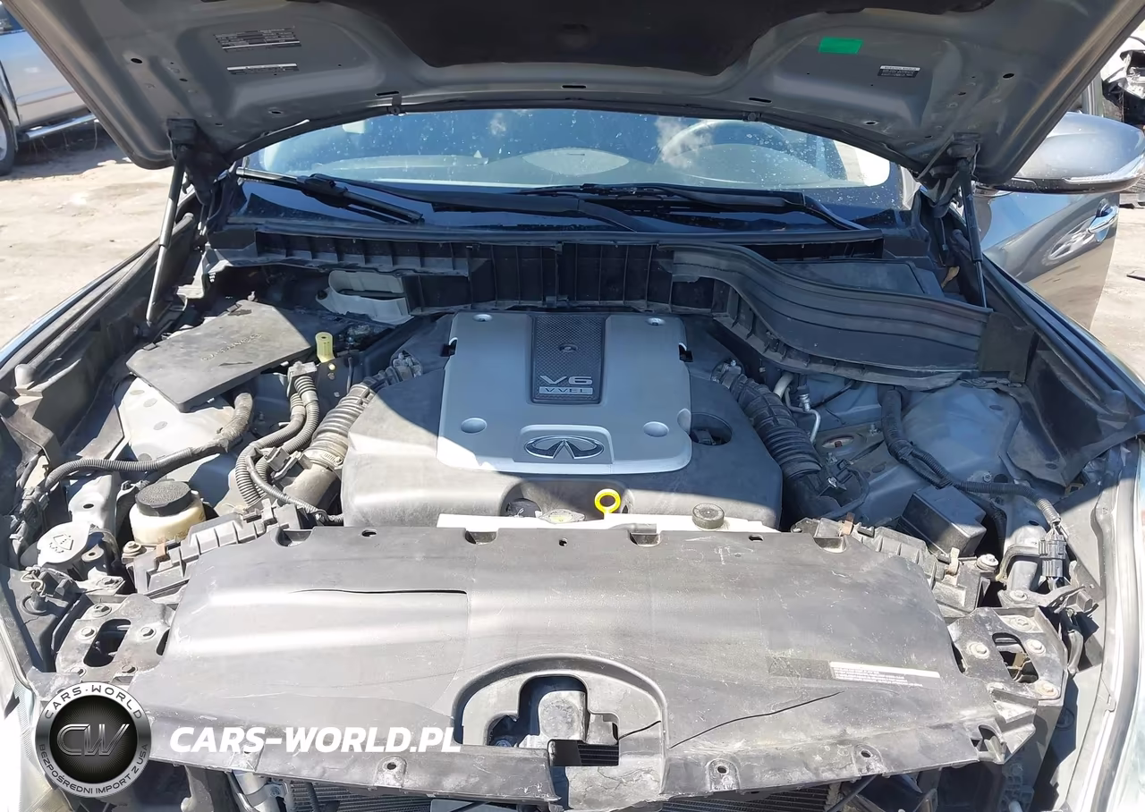 2016 Infiniti Qx50 VIN:JN1BJ0RR4GM265775 - 10