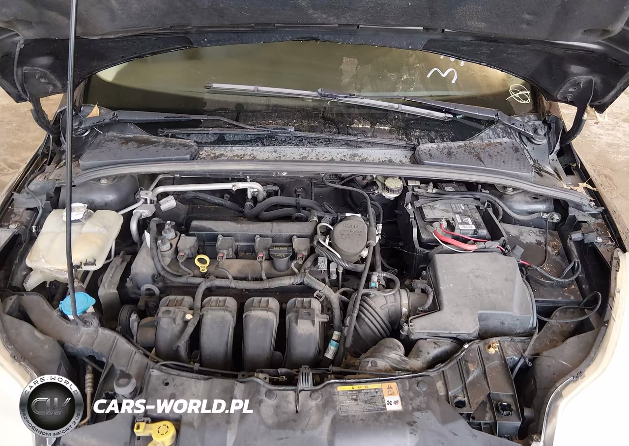 2013 Ford Focus Se VIN:1FADP3F2XDL333386 - 10