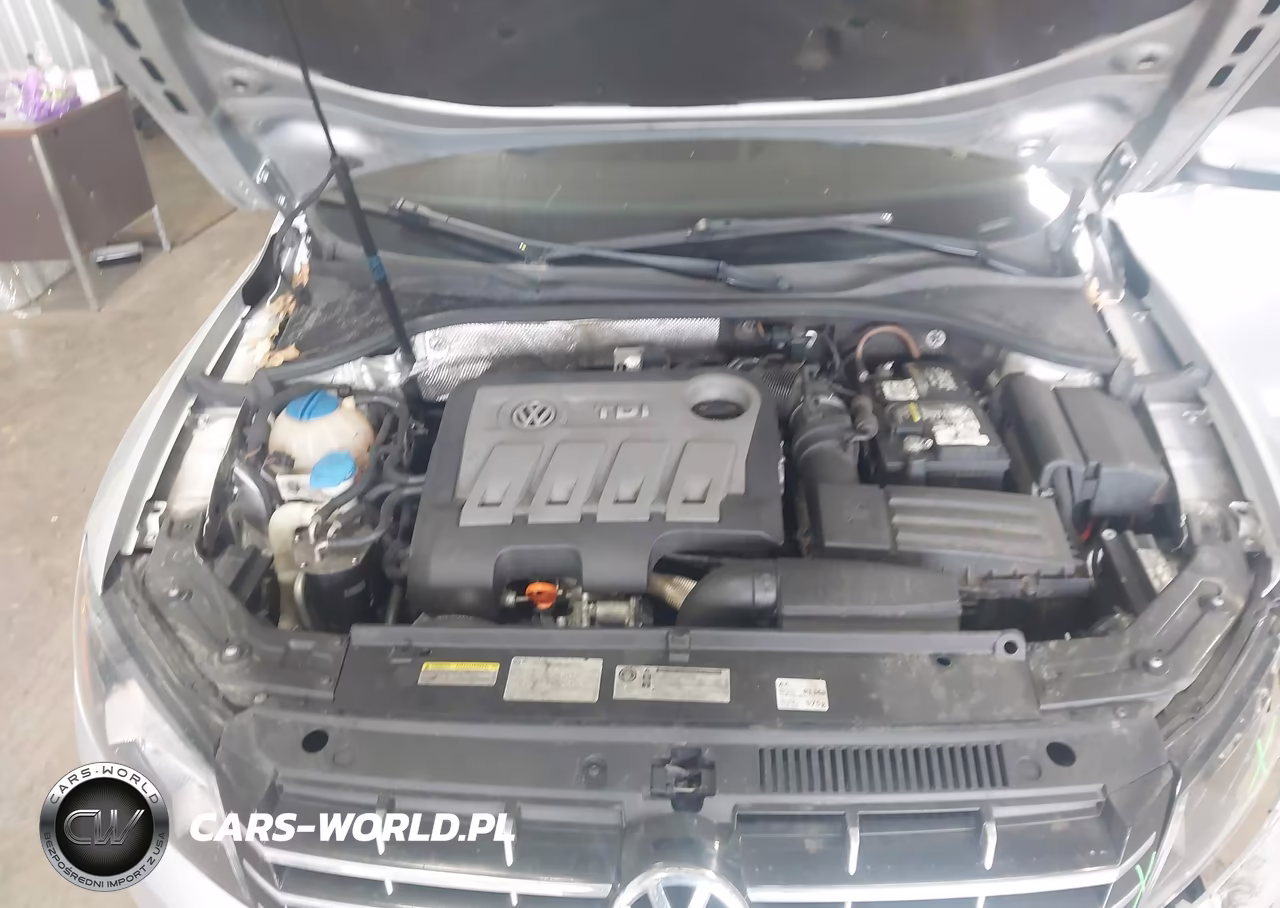 2013 Volkswagen Passat 2.0L Tdi Se VIN:1VWBN7A34DC102124 - 10