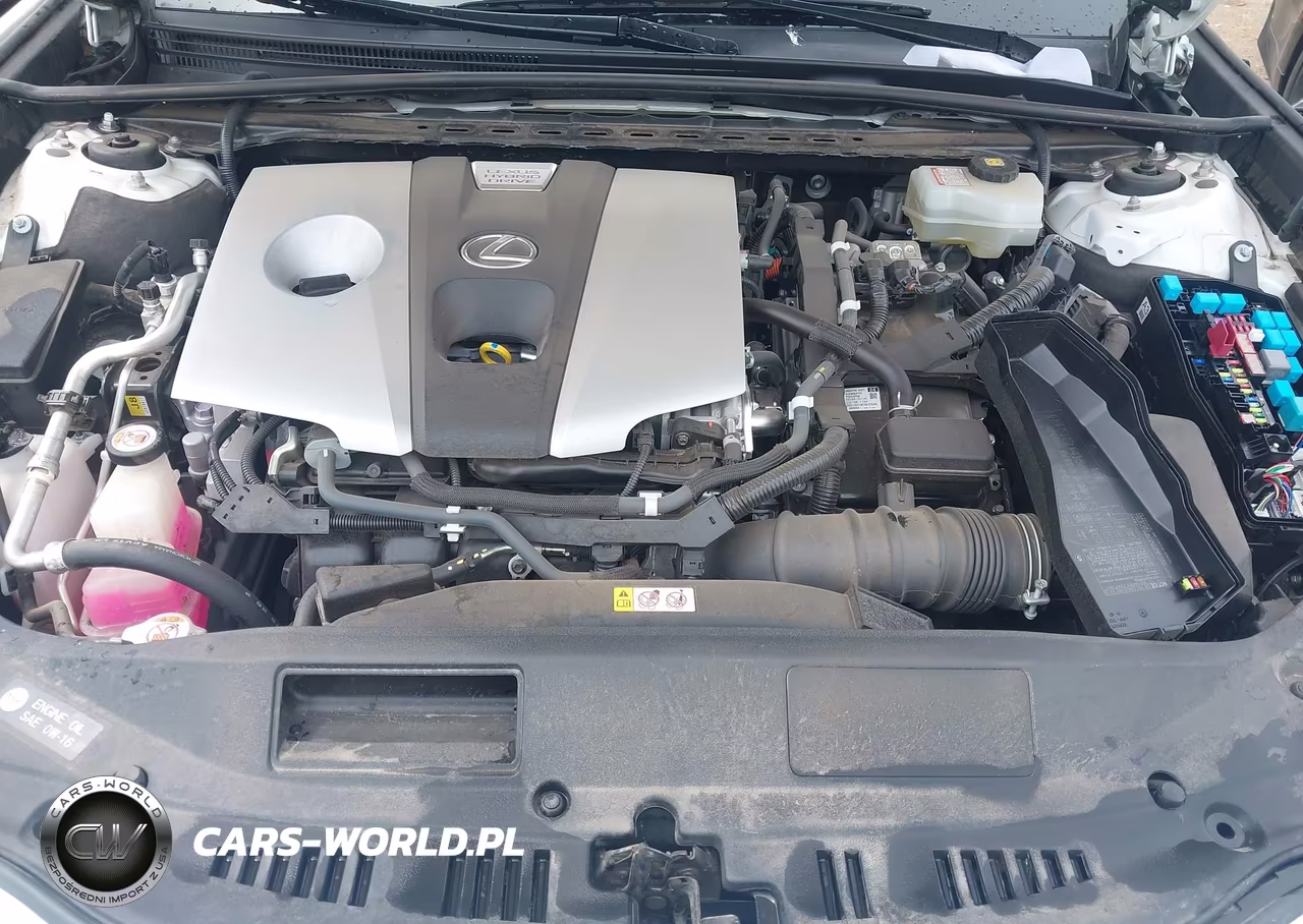 2019 Lexus Es 300H VIN:JTHB21B10K2024206 - 10