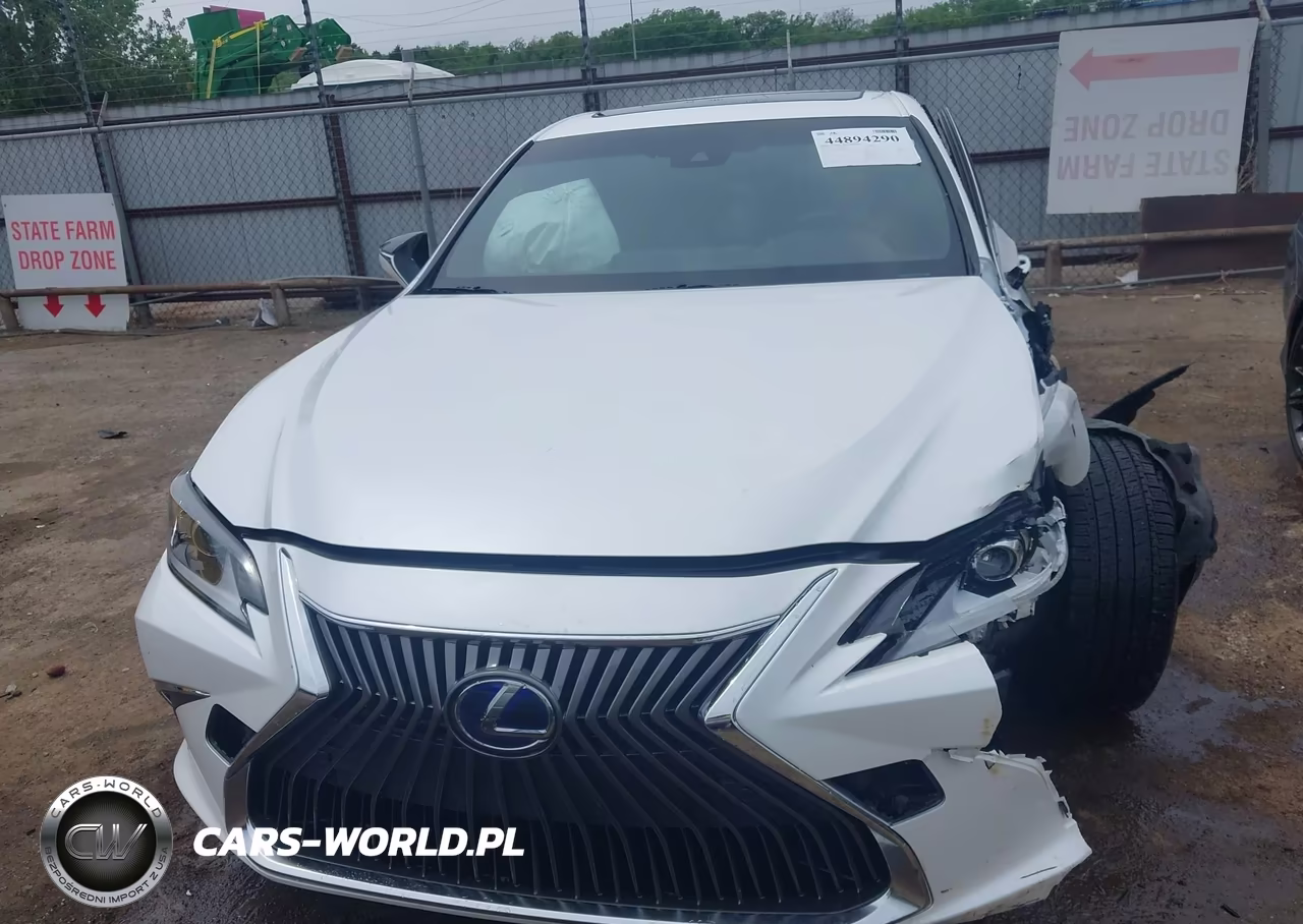 2019 Lexus Es 300H VIN:JTHB21B10K2024206 - 12