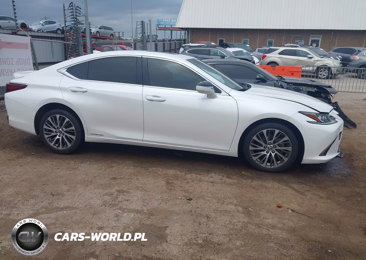 2019 Lexus Es 300H VIN:JTHB21B10K2024206 - 13