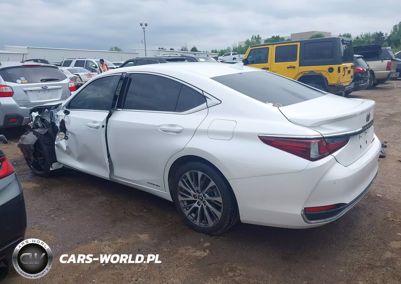 2019 Lexus Es 300H VIN:JTHB21B10K2024206 - 14