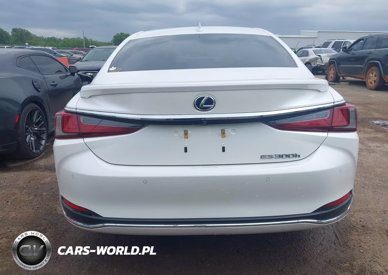 2019 Lexus Es 300H VIN:JTHB21B10K2024206 - 16
