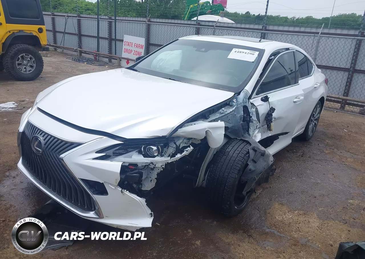 2019 Lexus Es 300H VIN:JTHB21B10K2024206 - 2