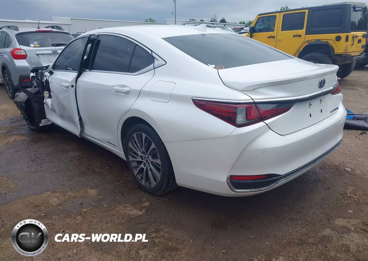 2019 Lexus Es 300H VIN:JTHB21B10K2024206 - 3