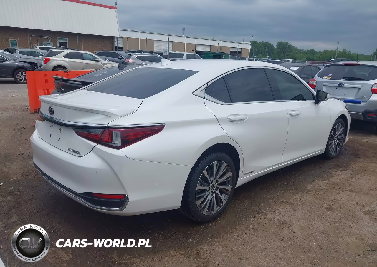 2019 Lexus Es 300H VIN:JTHB21B10K2024206 - 4
