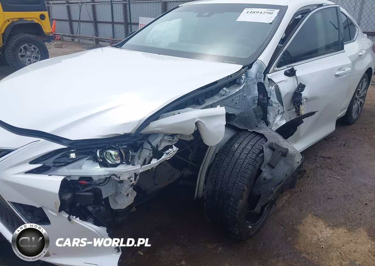 2019 Lexus Es 300H VIN:JTHB21B10K2024206 - 6