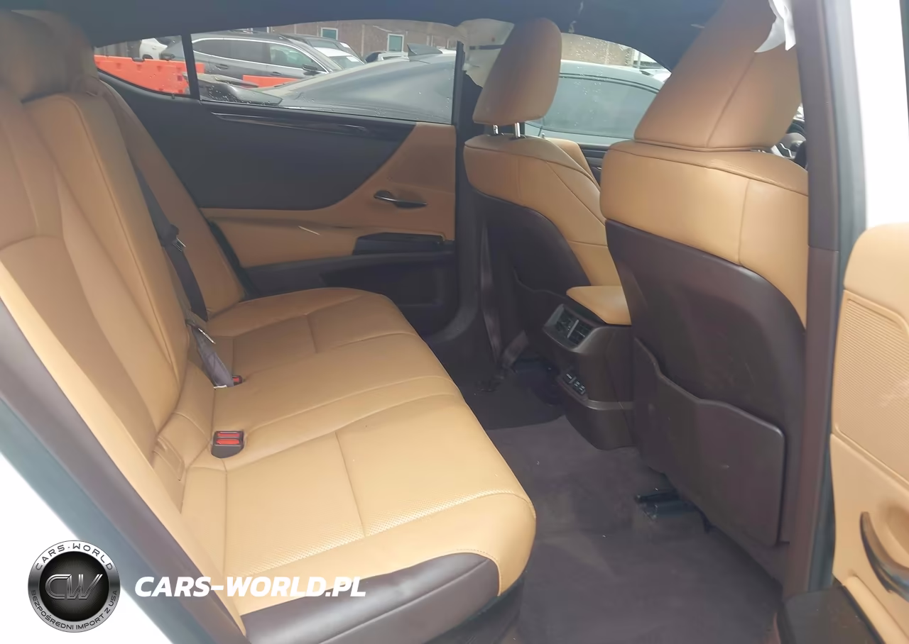 2019 Lexus Es 300H VIN:JTHB21B10K2024206 - 8