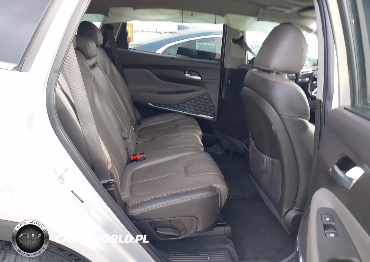2019 Hyundai Santa Fe Ultimate 2.0T VIN:5NMS53AA9KH116691 - 8