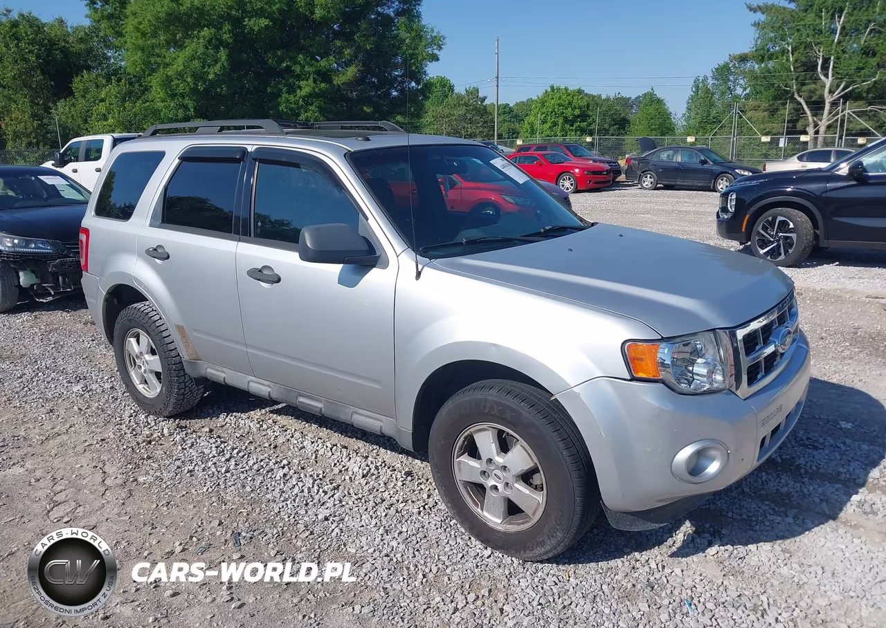 2010 Ford Escape Xlt