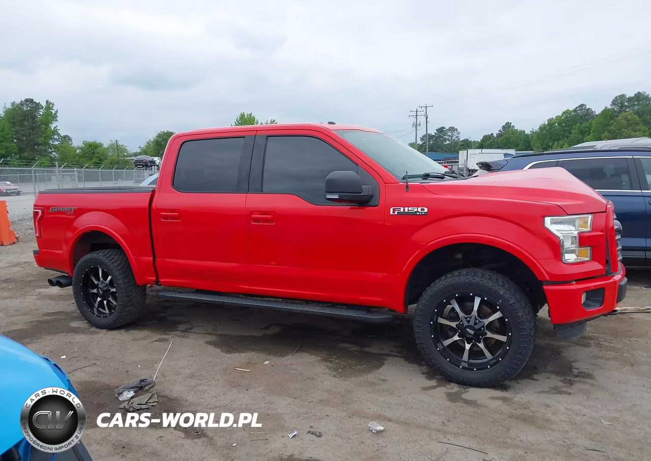 2015 Ford F-150 Xlt VIN:1FTEW1EFXFFA28787 - 13