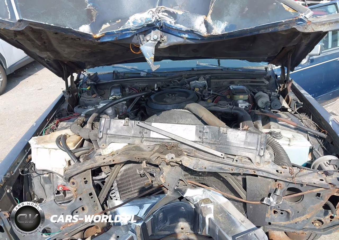 1990 Cadillac Brougham VIN:1G6DW5477LR712819 - 10