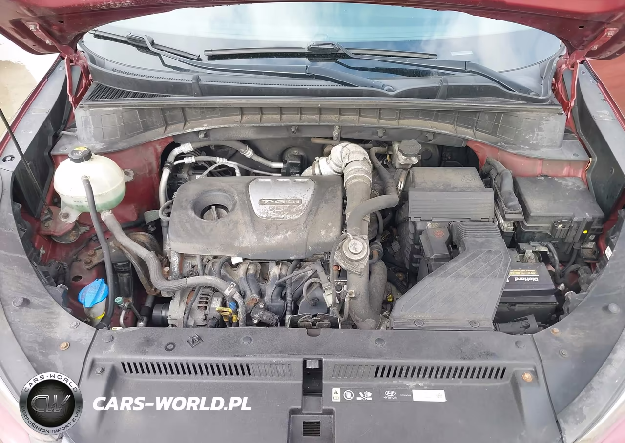 2017 Hyundai Tucson Eco VIN:KM8J33A2XHU346201 - 10