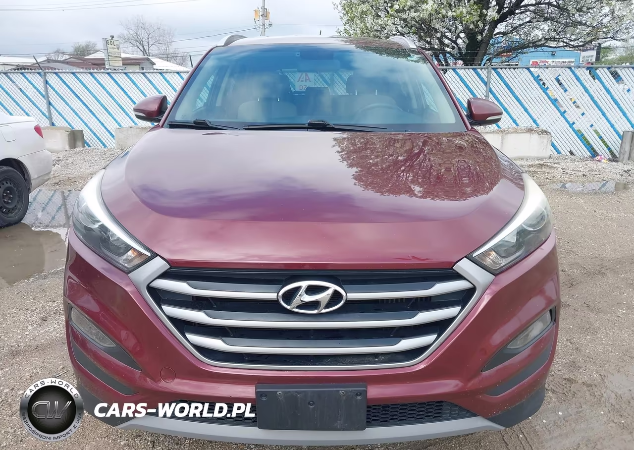 2017 Hyundai Tucson Eco VIN:KM8J33A2XHU346201 - 12