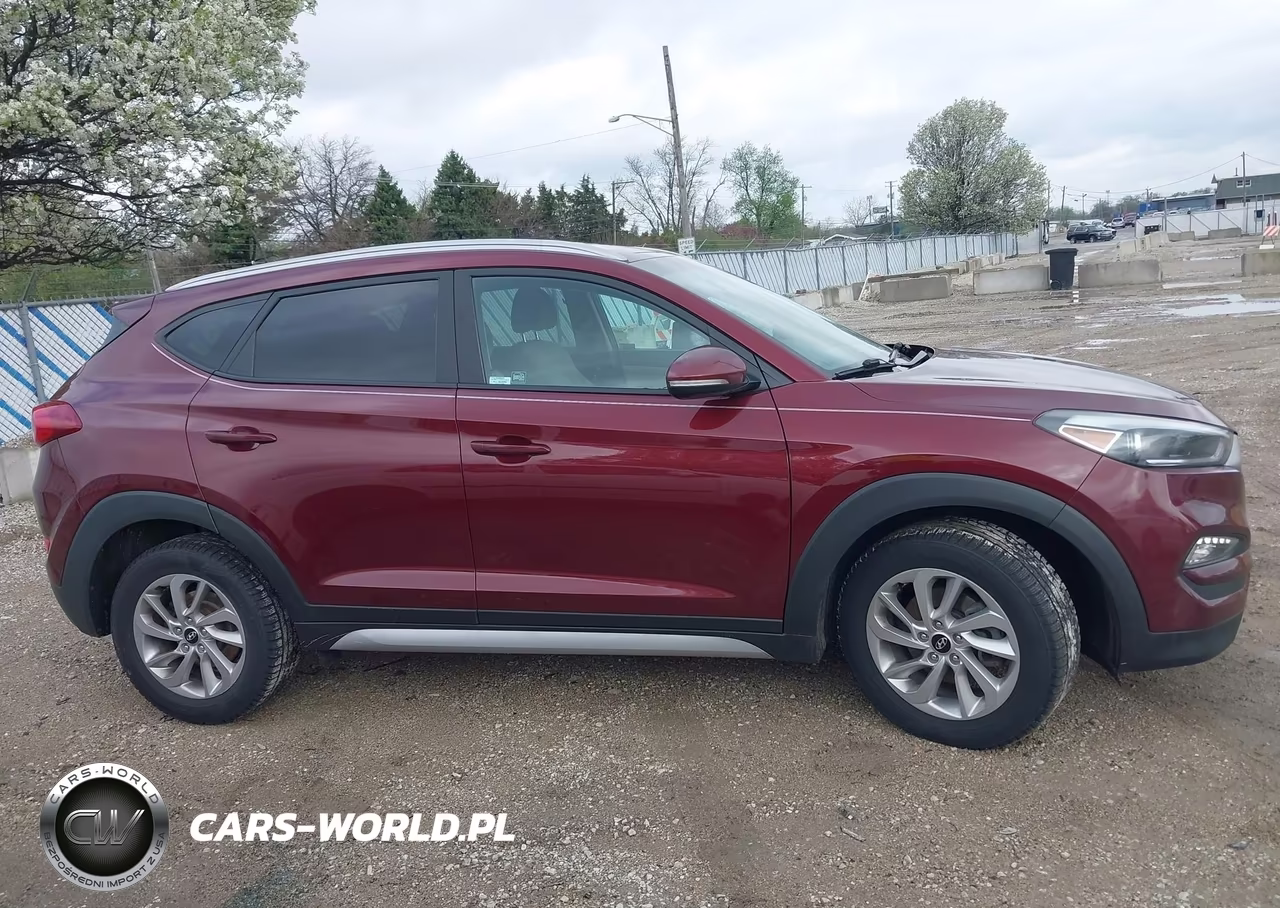 2017 Hyundai Tucson Eco VIN:KM8J33A2XHU346201 - 13