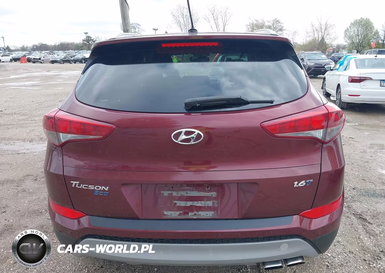 2017 Hyundai Tucson Eco VIN:KM8J33A2XHU346201 - 16