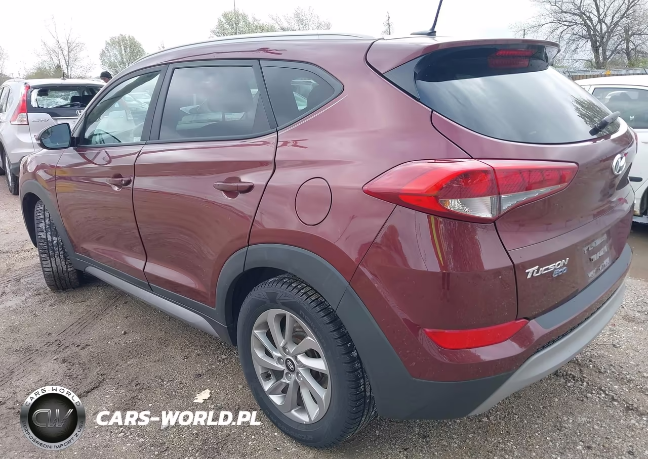 2017 Hyundai Tucson Eco VIN:KM8J33A2XHU346201 - 3