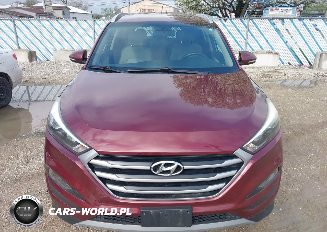 2017 Hyundai Tucson Eco VIN:KM8J33A2XHU346201 - 6