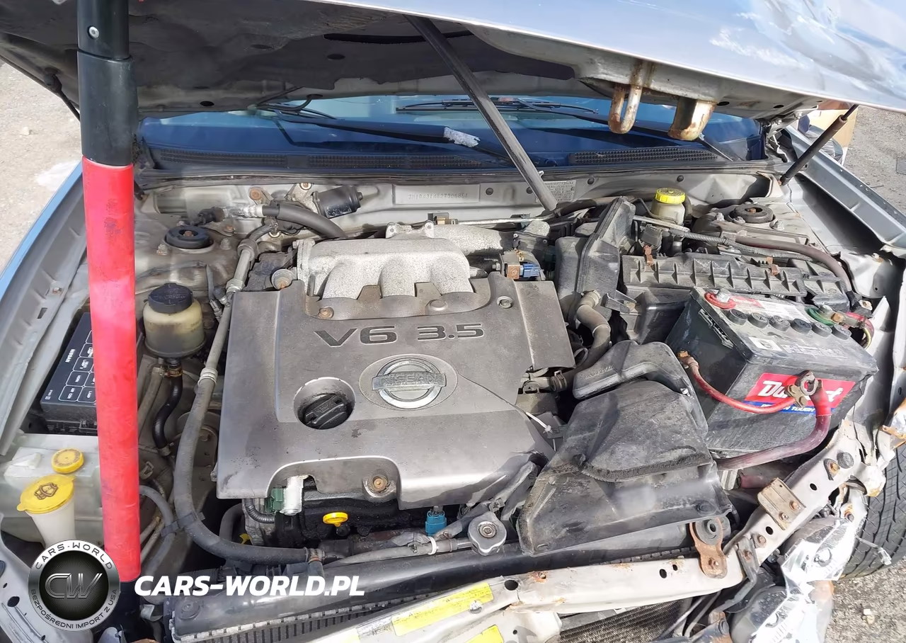 2002 Nissan Maxima Se VIN:JN1DA31A82T306861 - 10