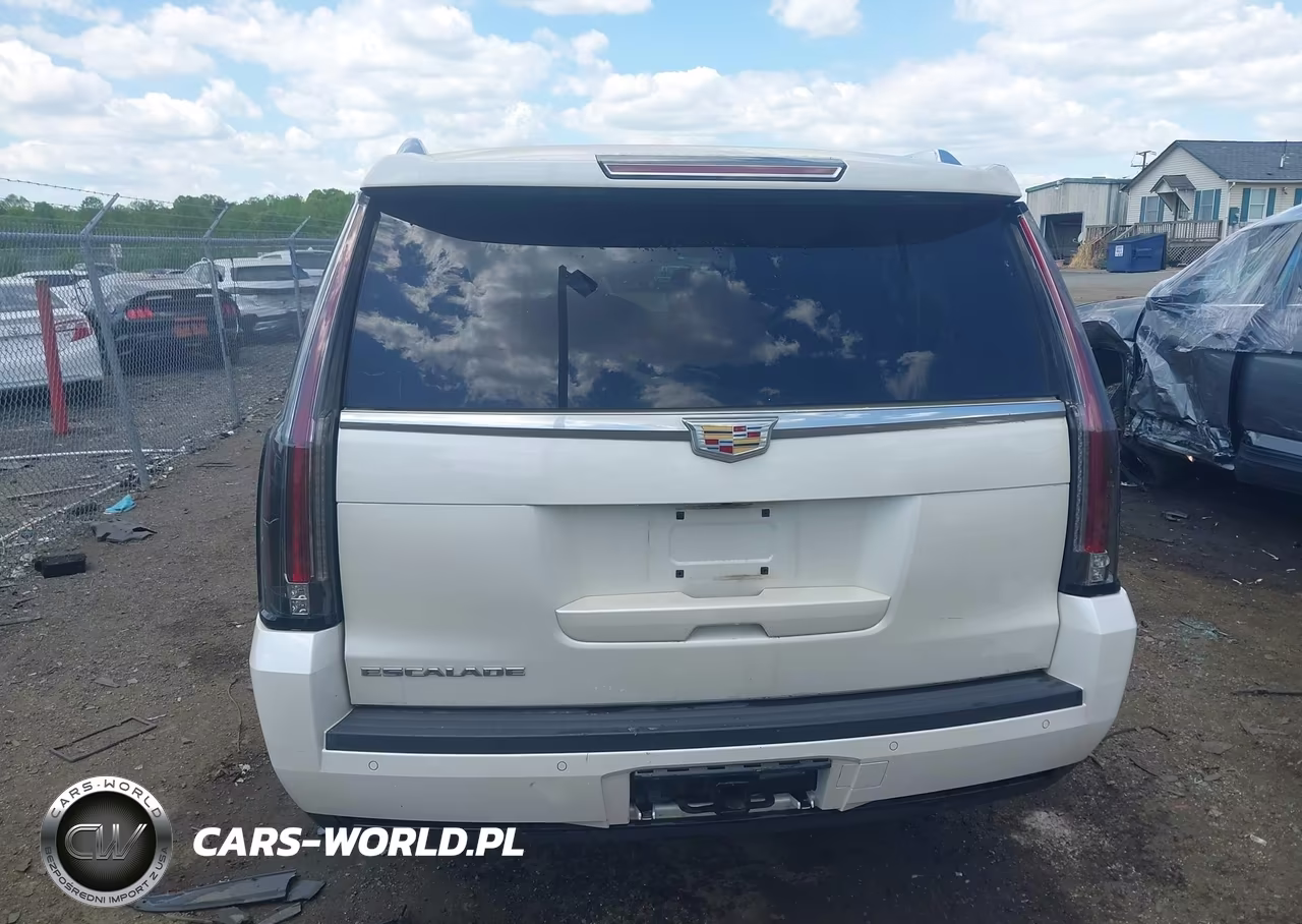 2015 Cadillac Escalade Esv Luxury VIN:1GYS4SKJ8FR602402 - 17