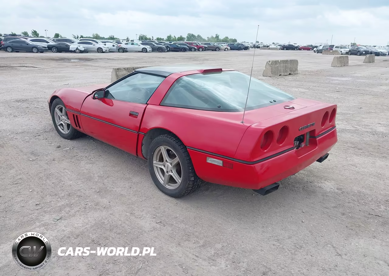 1987 Chevrolet Corvette VIN:1G1YY2181H5103060 - 3