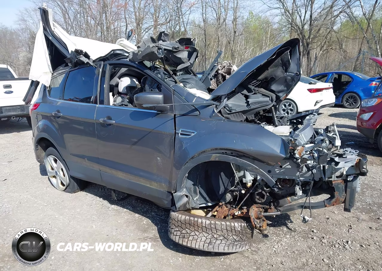 2014 Ford Escape Se – zdjęcie 1 z 10