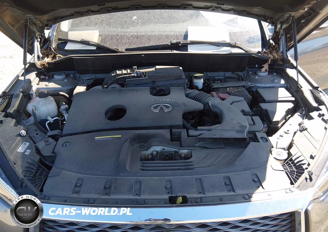 2020 Infiniti Qx50 Luxe VIN:3PCAJ5M34LF102989 - 10