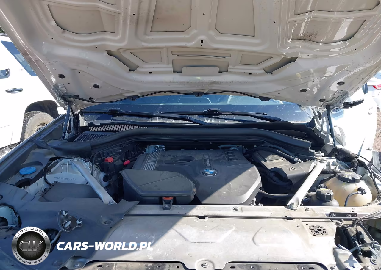 2019 BMW X3 Sdrive30I VIN:5UXTR7C58KLF32294 - 10