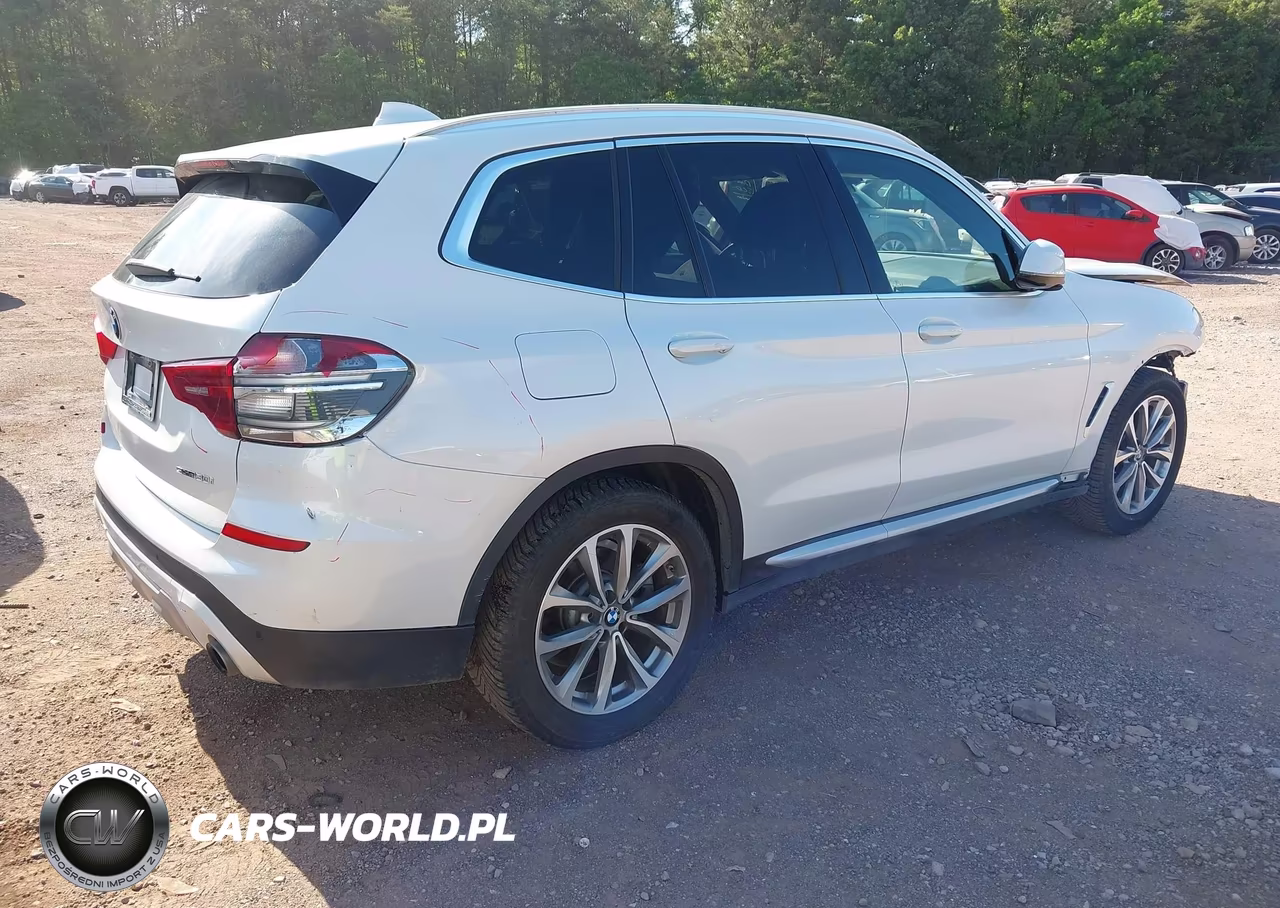 2019 BMW X3 Sdrive30I VIN:5UXTR7C58KLF32294 - 4