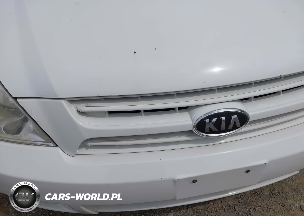 2010 Kia Sedona VIN:KNDMG4C30A6330634 - 13