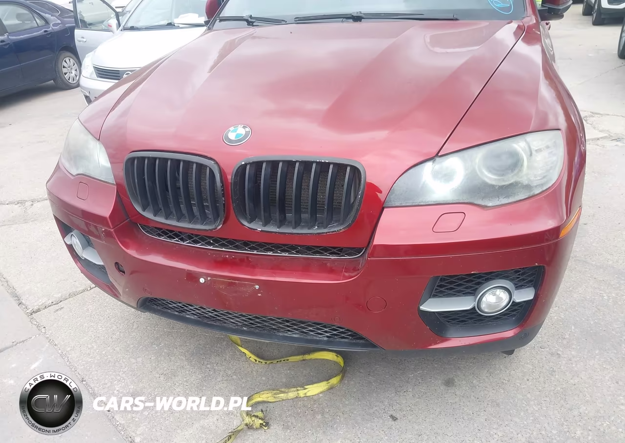 2009 BMW X6 xDrive35I VIN:5UXFG43549L222488 - 6