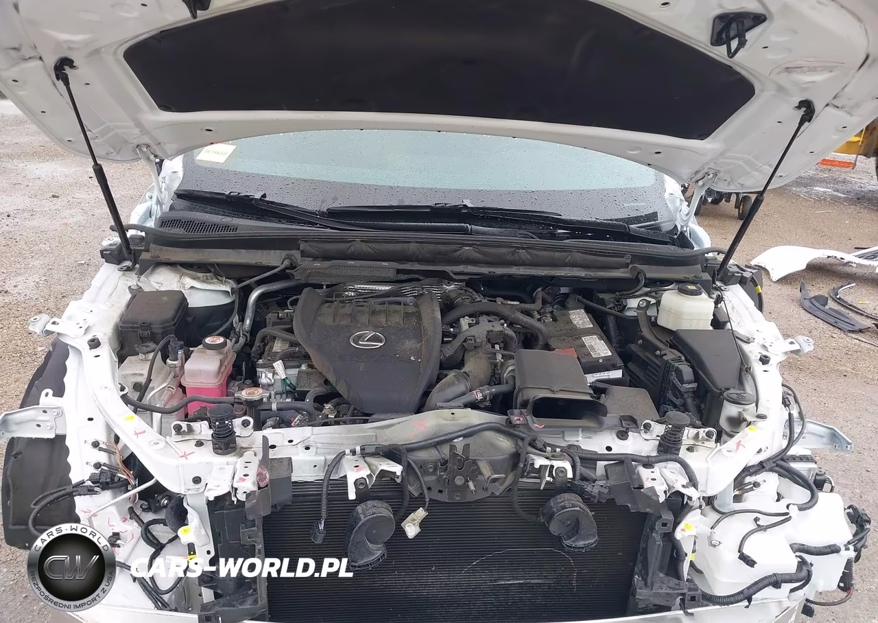 2023 Lexus Rx 350 Premium VIN:2T2BAMBA2PC003092 - 10