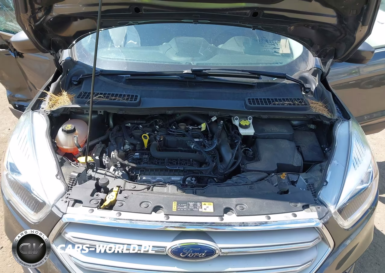 2019 Ford Escape Sel VIN:1FMCU9HD5KUB48679 - 10