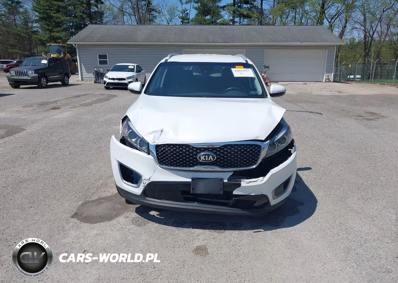 2017 Kia Sorento 2.4L Lx VIN:5XYPG4A31HG256633 - 12
