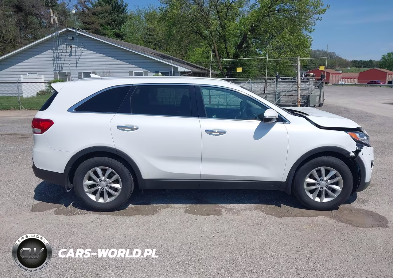 2017 Kia Sorento 2.4L Lx VIN:5XYPG4A31HG256633 - 13