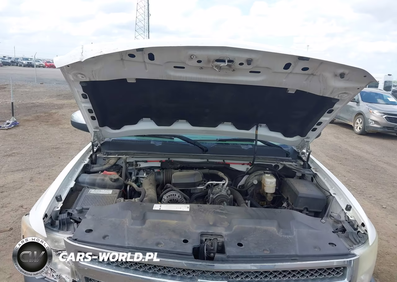 2008 Chevrolet Silverado 1500 Work Truck VIN:1GCEC14X98Z114533 - 10
