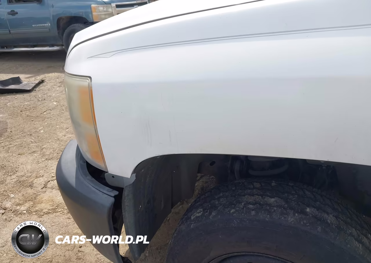 2008 Chevrolet Silverado 1500 Work Truck VIN:1GCEC14X98Z114533 - 20