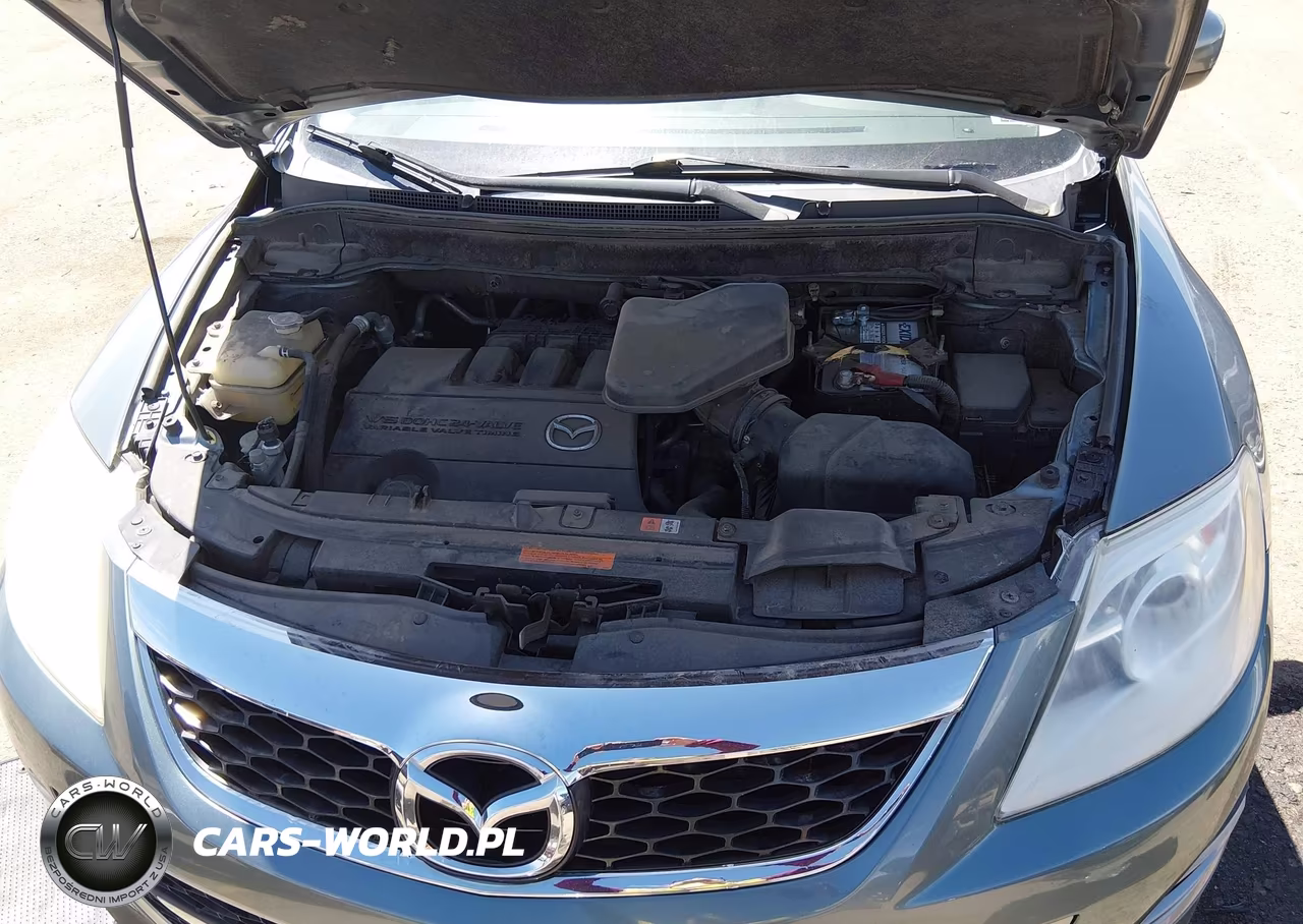 2011 Mazda Cx-9 Touring VIN:JM3TB3CA4B0303645 - 10