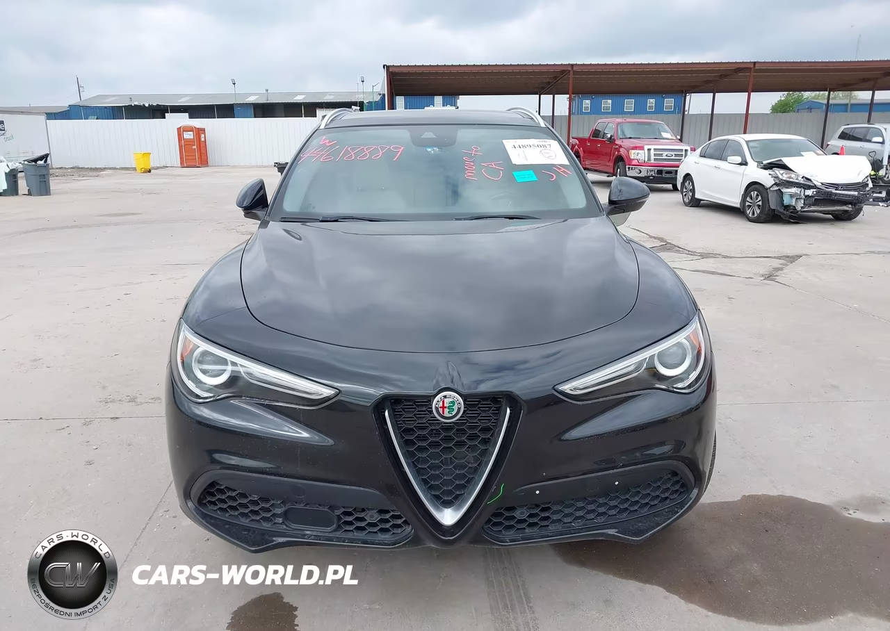 2020 Alfa Romeo Stelvio Rwd VIN:ZASPAJAN0L7C86124 - 13
