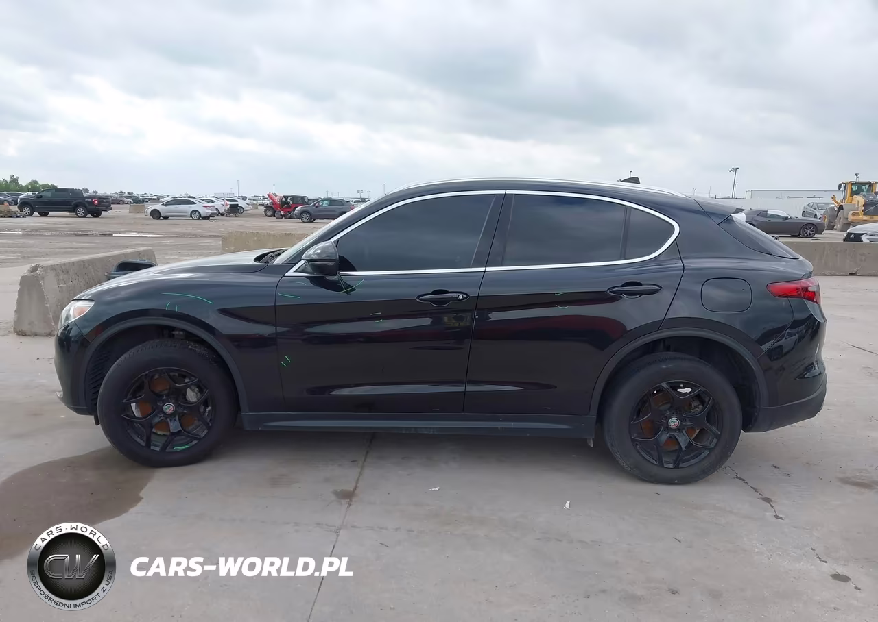 2020 Alfa Romeo Stelvio Rwd VIN:ZASPAJAN0L7C86124 - 15