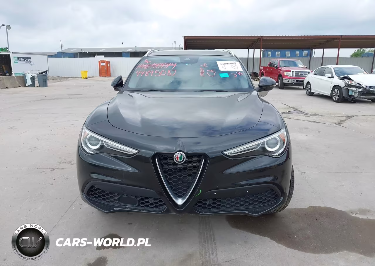 2020 Alfa Romeo Stelvio Rwd VIN:ZASPAJAN0L7C86124 - 19