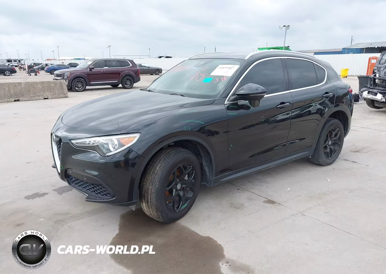 2020 Alfa Romeo Stelvio Rwd VIN:ZASPAJAN0L7C86124 - 2